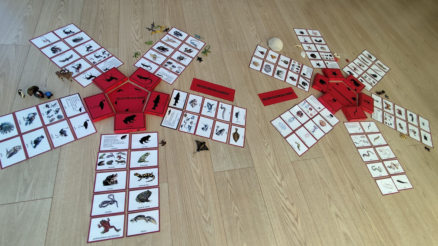 Mugurkaulnieki/Bezmugurkaulnieki kartiņas un kastītes - PDF formātā