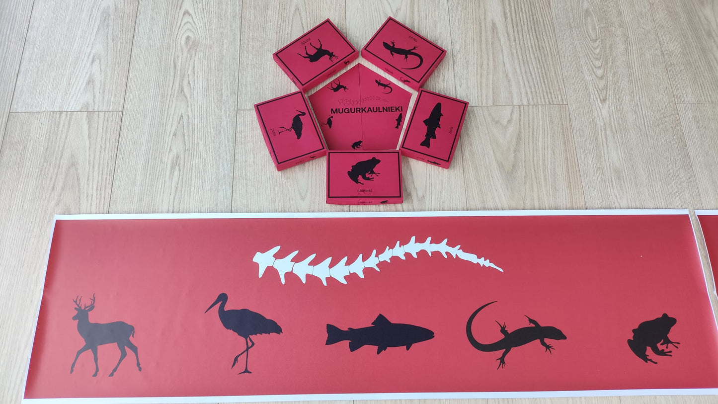 Mugurkaulnieki/Bezmugurkaulnieki kartiņas un kastītes - PDF formātā