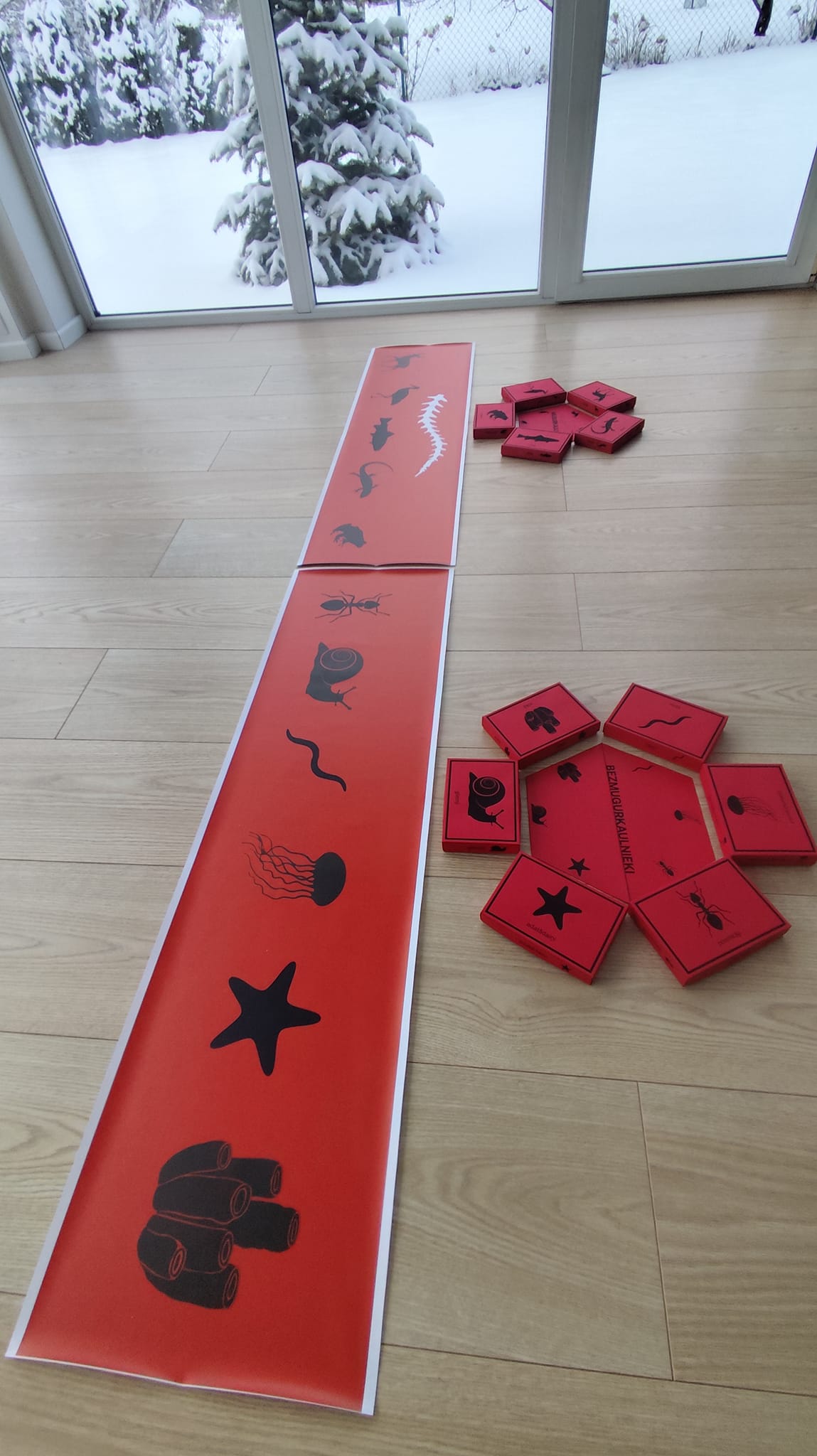 Mugurkaulnieki/Bezmugurkaulnieki kartiņas un kastītes - PDF formātā