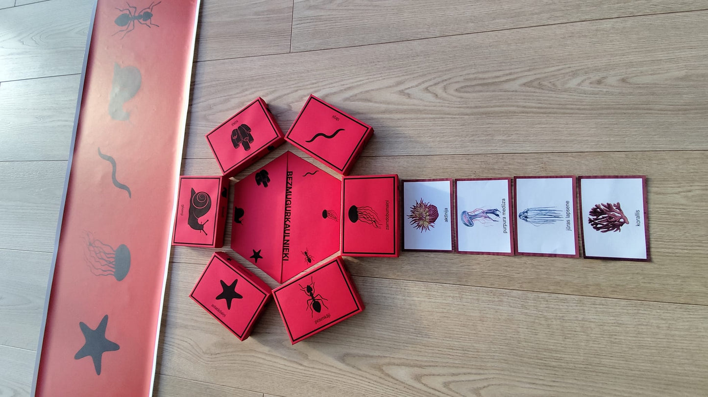 Mugurkaulnieki/Bezmugurkaulnieki kartiņas un kastītes - PDF formātā