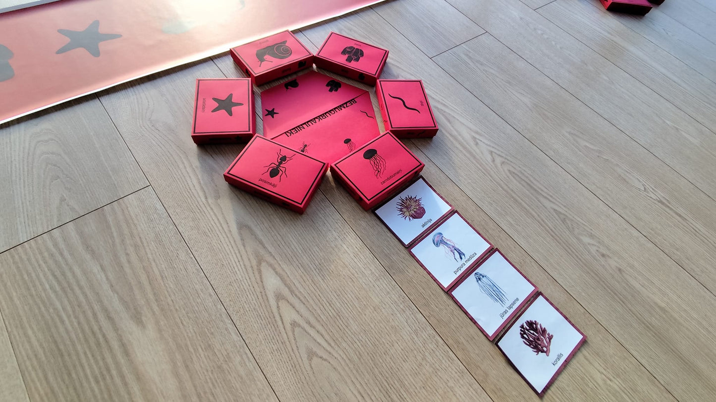 Mugurkaulnieki/Bezmugurkaulnieki kartiņas un kastītes - PDF formātā