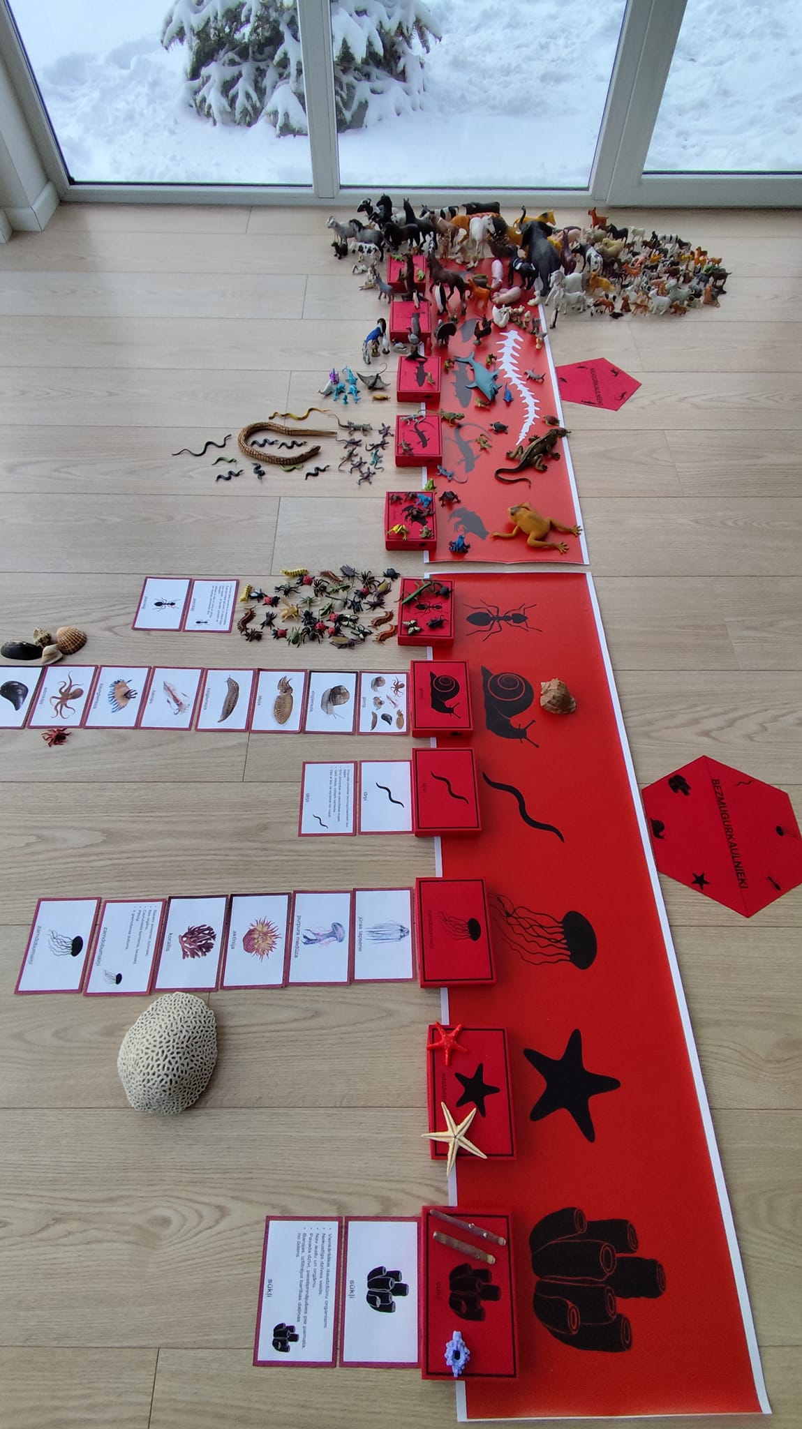 Mugurkaulnieki/Bezmugurkaulnieki kartiņas un kastītes - PDF formātā