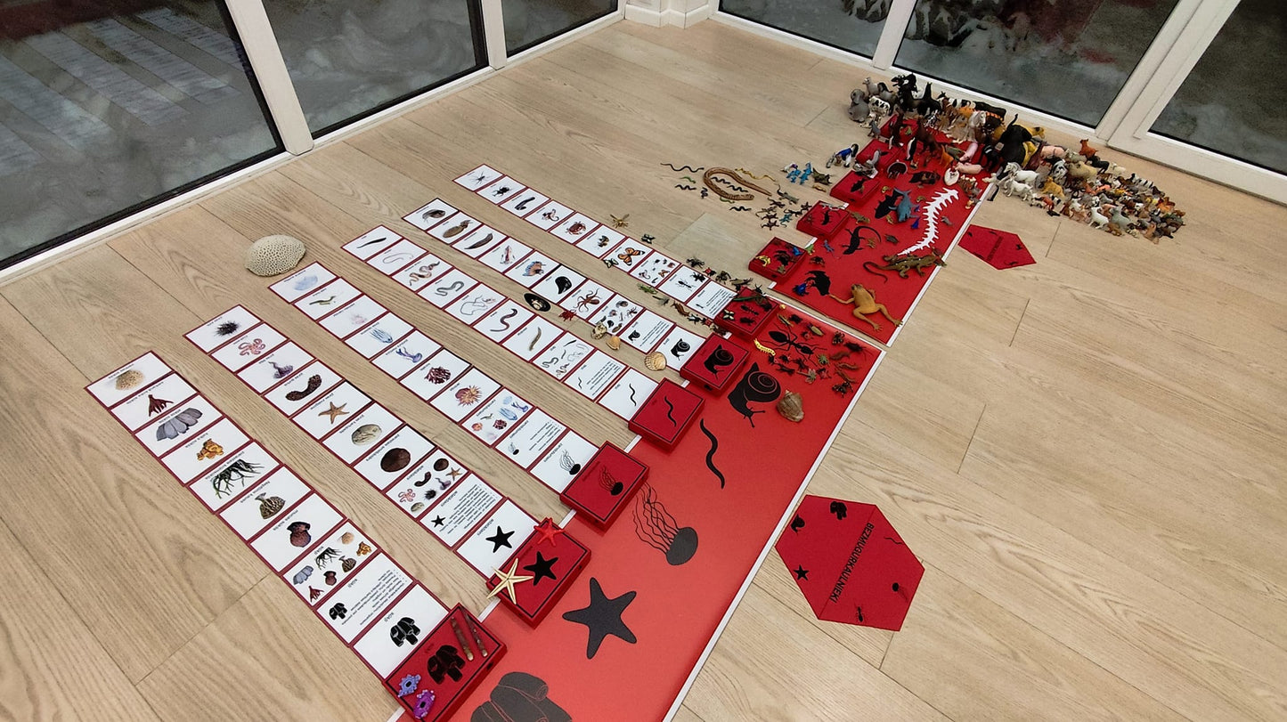 Mugurkaulnieki/Bezmugurkaulnieki kartiņas un kastītes - PDF formātā