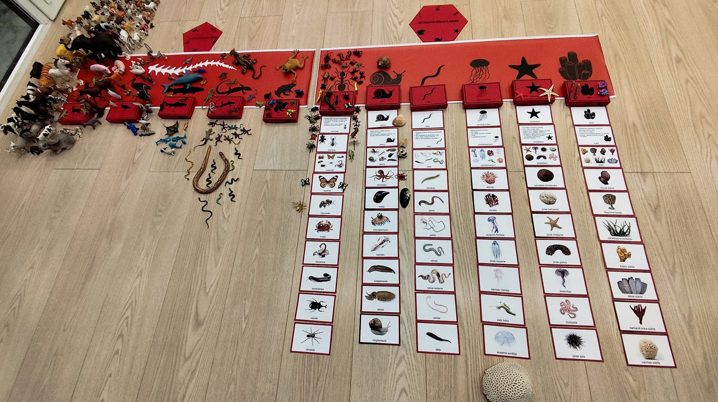 Mugurkaulnieki/Bezmugurkaulnieki kartiņas un kastītes - PDF formātā