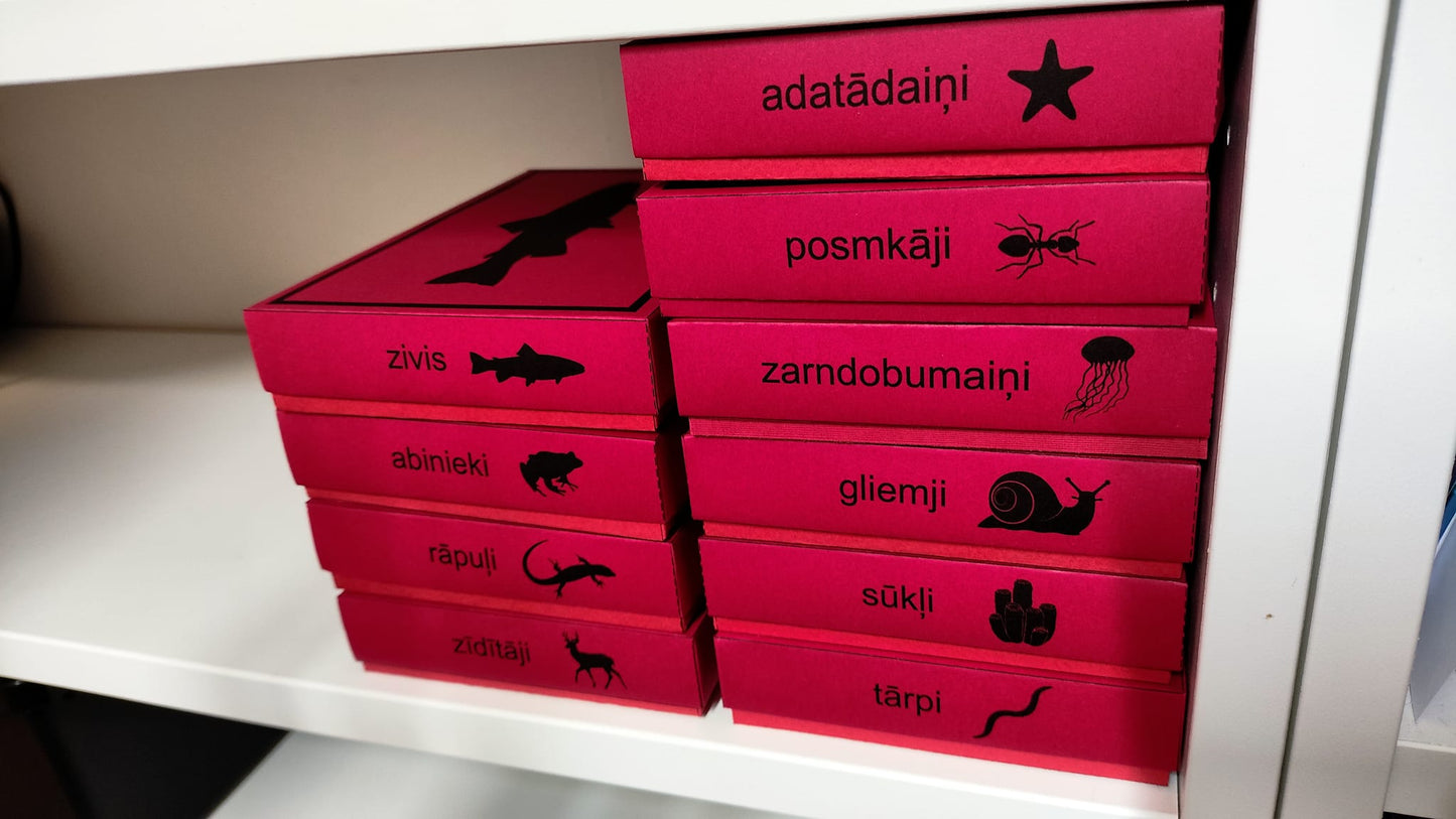 Mugurkaulnieki/Bezmugurkaulnieki kartiņas un kastītes - PDF formātā