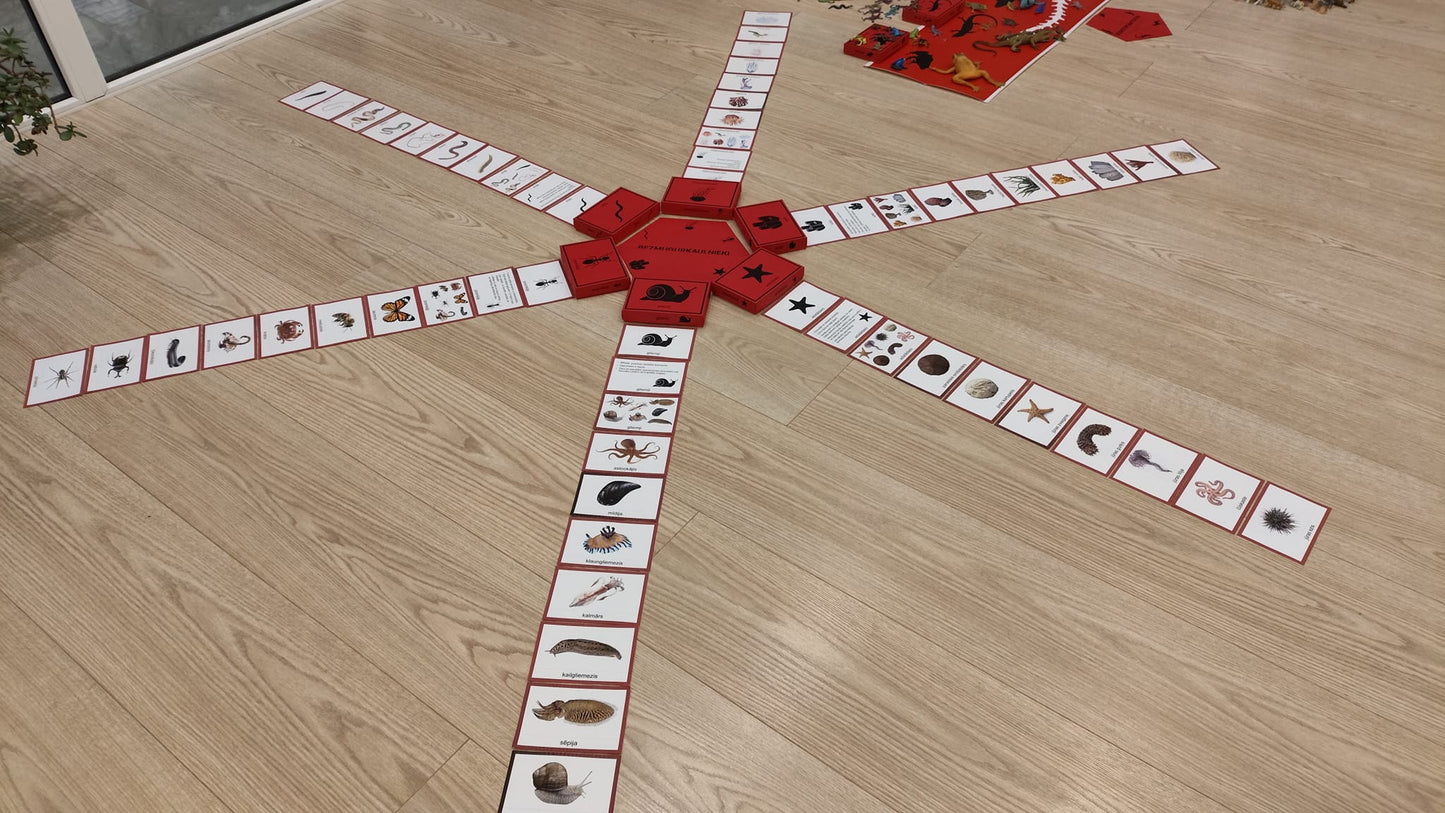 Mugurkaulnieki/Bezmugurkaulnieki kartiņas un kastītes - PDF formātā