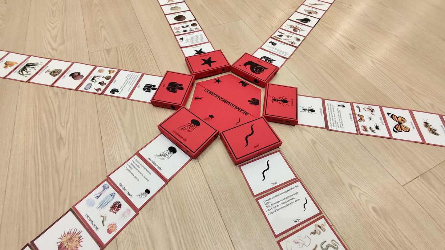 Mugurkaulnieki/Bezmugurkaulnieki kartiņas un kastītes - PDF formātā