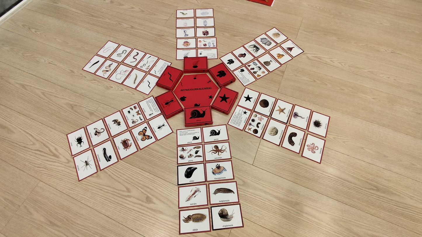 Mugurkaulnieki/Bezmugurkaulnieki kartiņas un kastītes - PDF formātā
