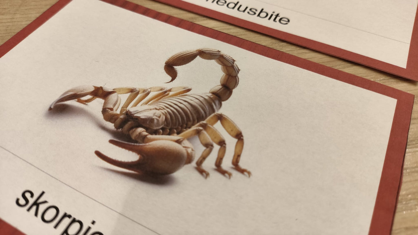 Mugurkaulnieki/Bezmugurkaulnieki kartiņas un kastītes - PDF formātā