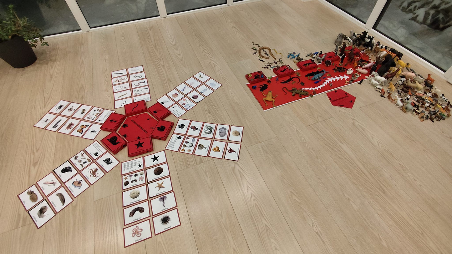 Mugurkaulnieki/Bezmugurkaulnieki kartiņas un kastītes - PDF formātā