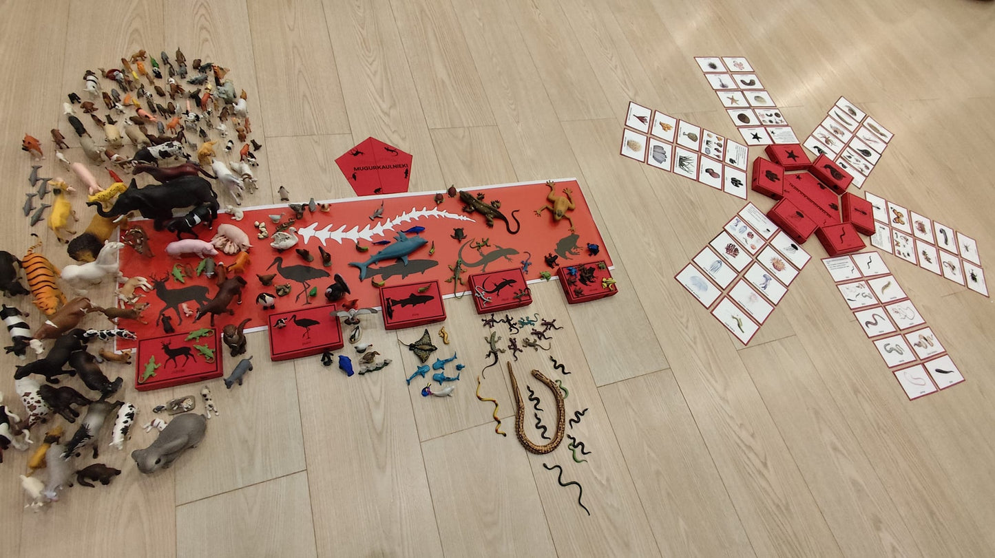 Mugurkaulnieki/Bezmugurkaulnieki kartiņas un kastītes - PDF formātā