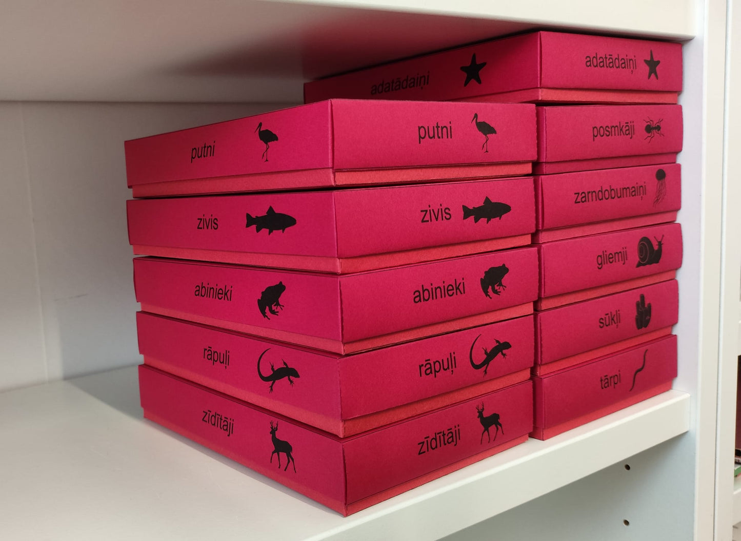 Mugurkaulnieki/Bezmugurkaulnieki kartiņas un kastītes - PDF formātā