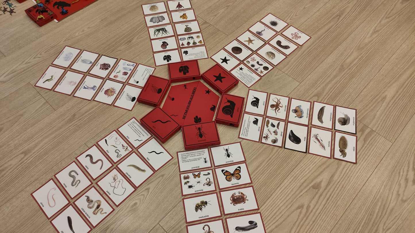 Mugurkaulnieki/Bezmugurkaulnieki kartiņas un kastītes - PDF formātā