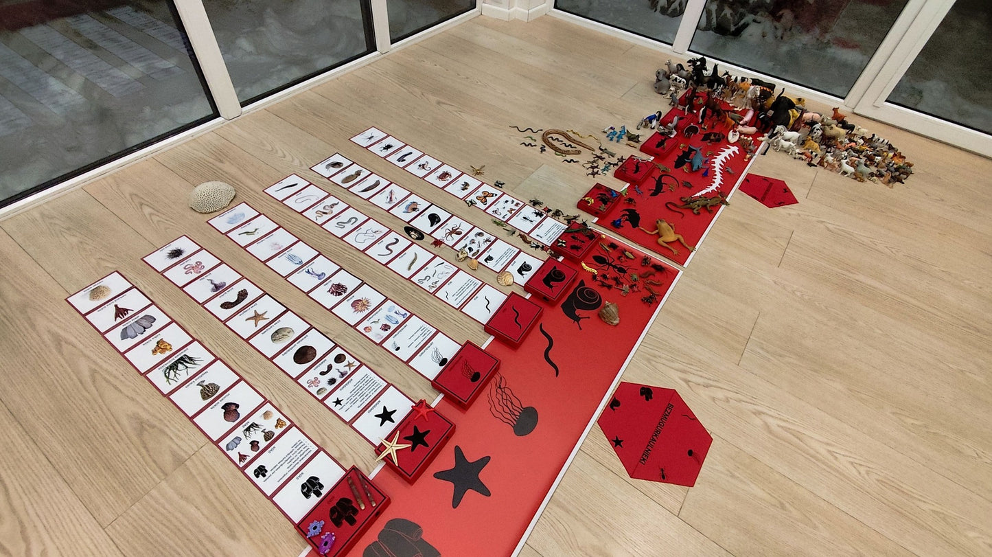 Mugurkaulnieki/Bezmugurkaulnieki kartiņas un kastītes - PDF formātā