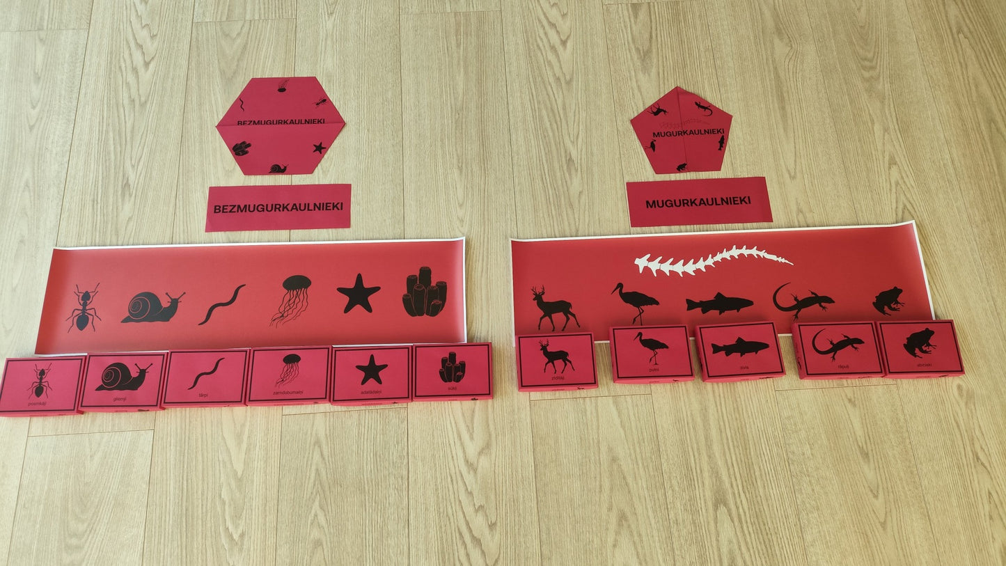 Mugurkaulnieki/Bezmugurkaulnieki kartiņas un kastītes - PDF formātā