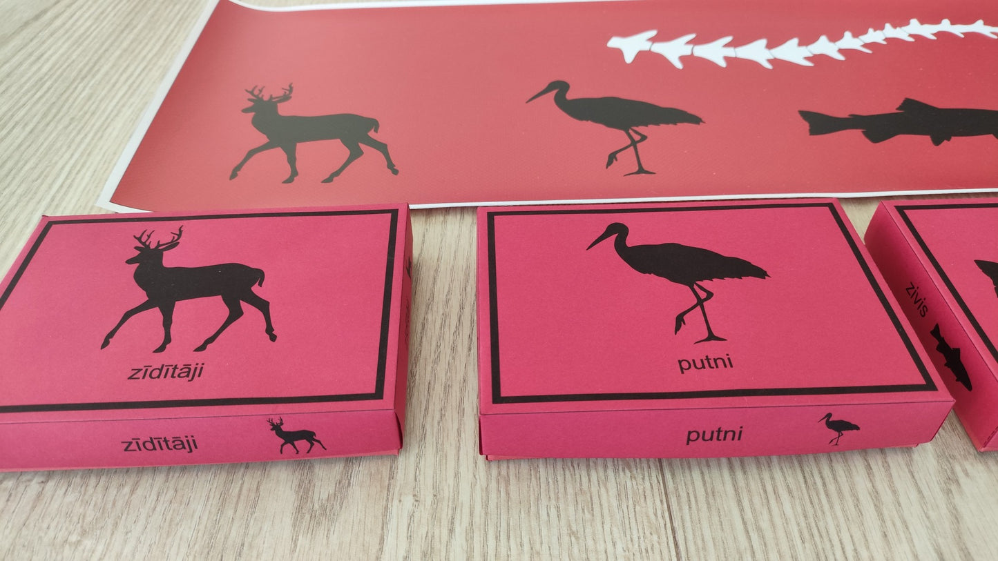 Mugurkaulnieki/Bezmugurkaulnieki kartiņas un kastītes - PDF formātā