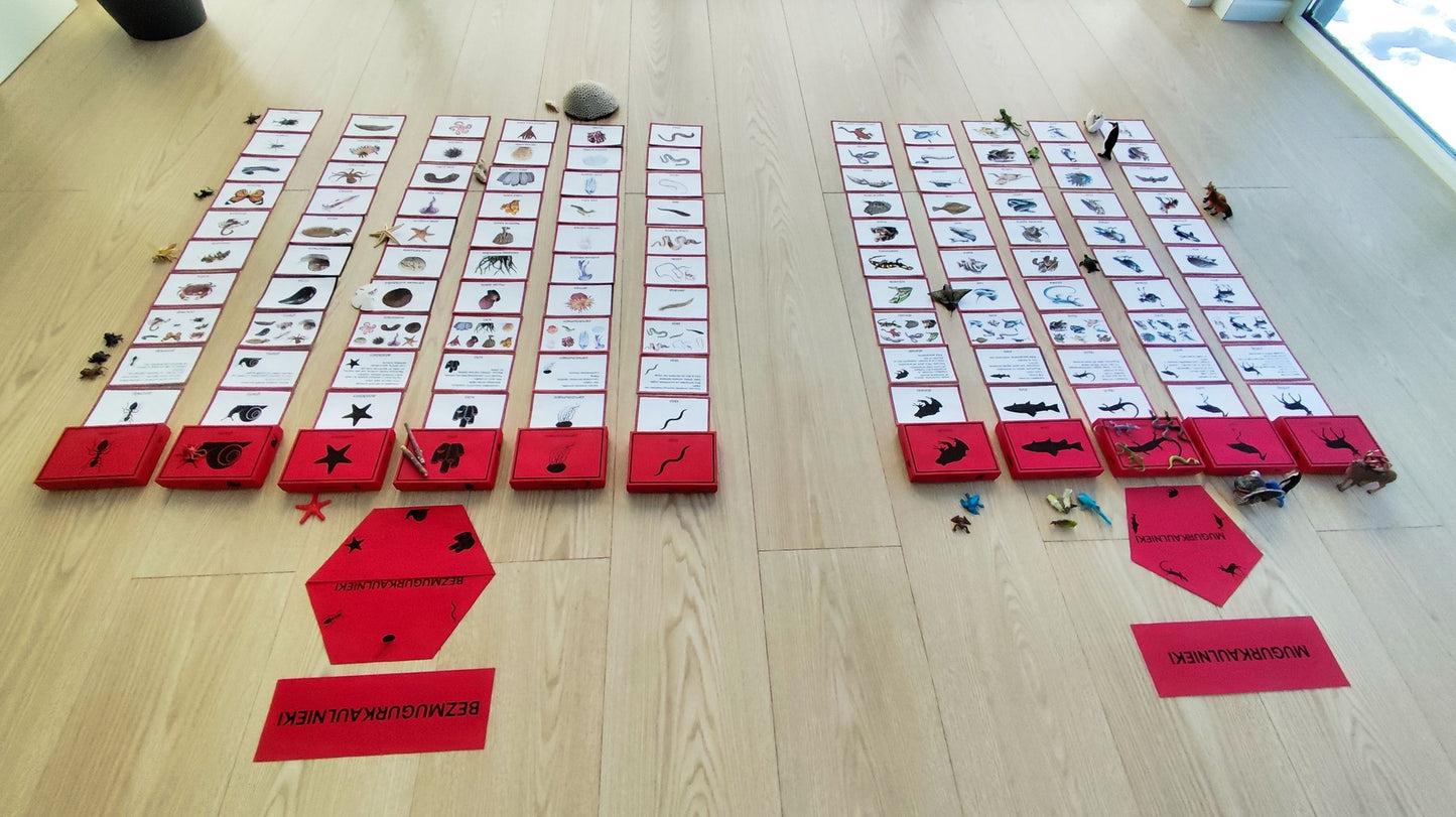 Mugurkaulnieki/Bezmugurkaulnieki kartiņas un kastītes - PDF formātā