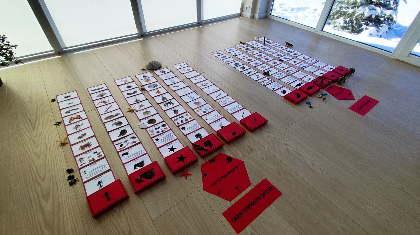 Mugurkaulnieki/Bezmugurkaulnieki kartiņas un kastītes - PDF formātā