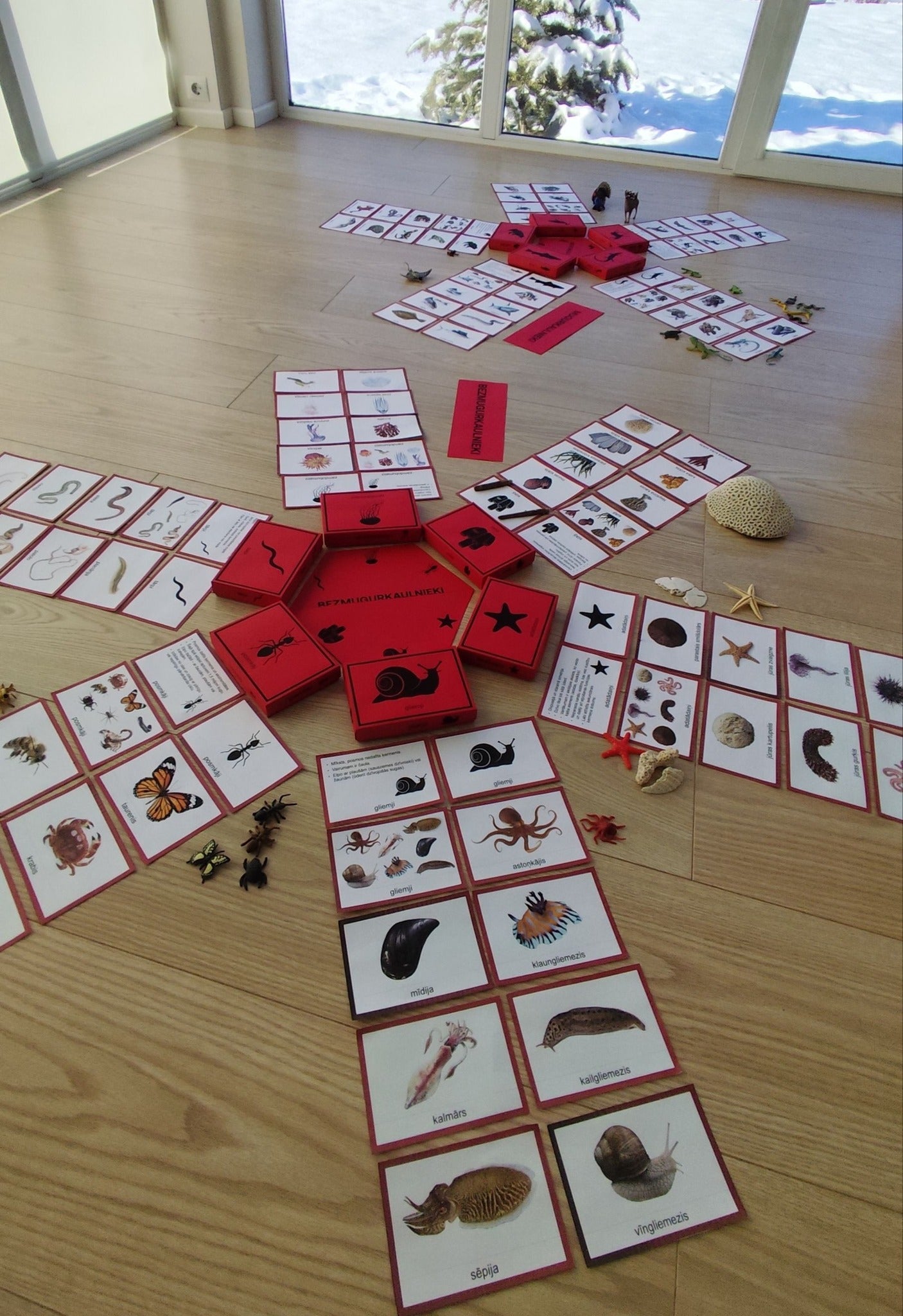 Mugurkaulnieki/Bezmugurkaulnieki kartiņas un kastītes - PDF formātā