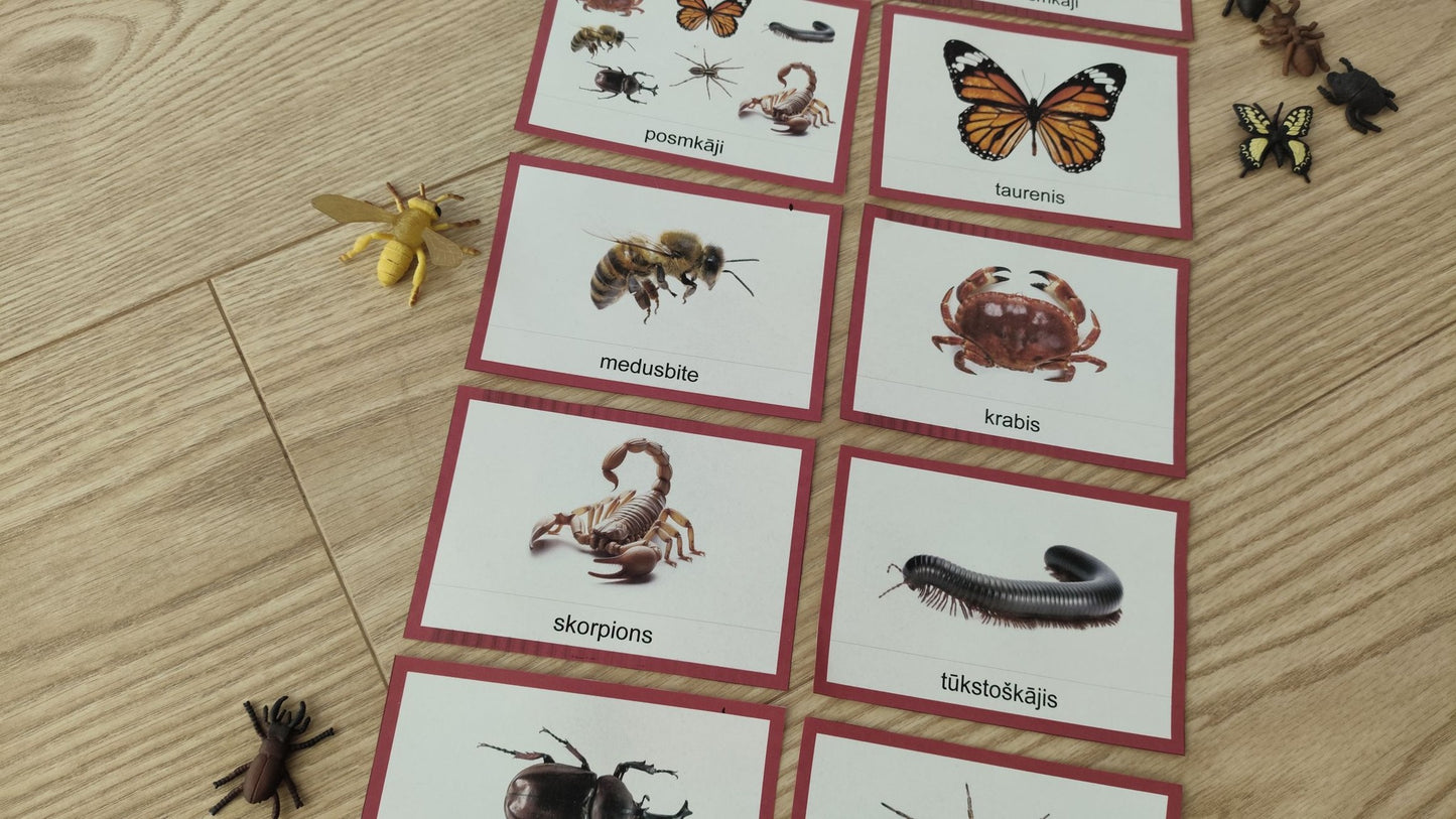 Mugurkaulnieki/Bezmugurkaulnieki kartiņas un kastītes - PDF formātā