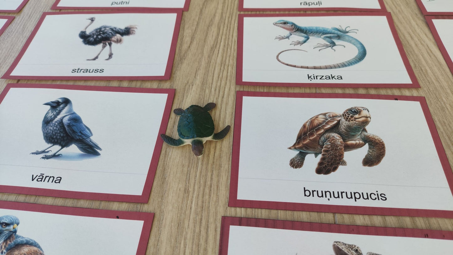 Mugurkaulnieki/Bezmugurkaulnieki kartiņas un kastītes - PDF formātā