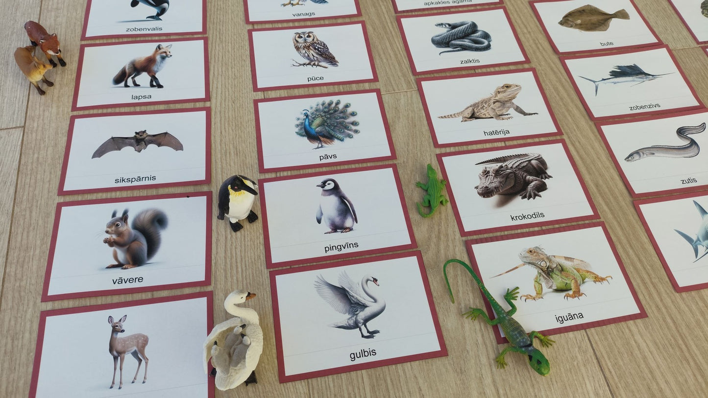 Mugurkaulnieki/Bezmugurkaulnieki kartiņas un kastītes - PDF formātā