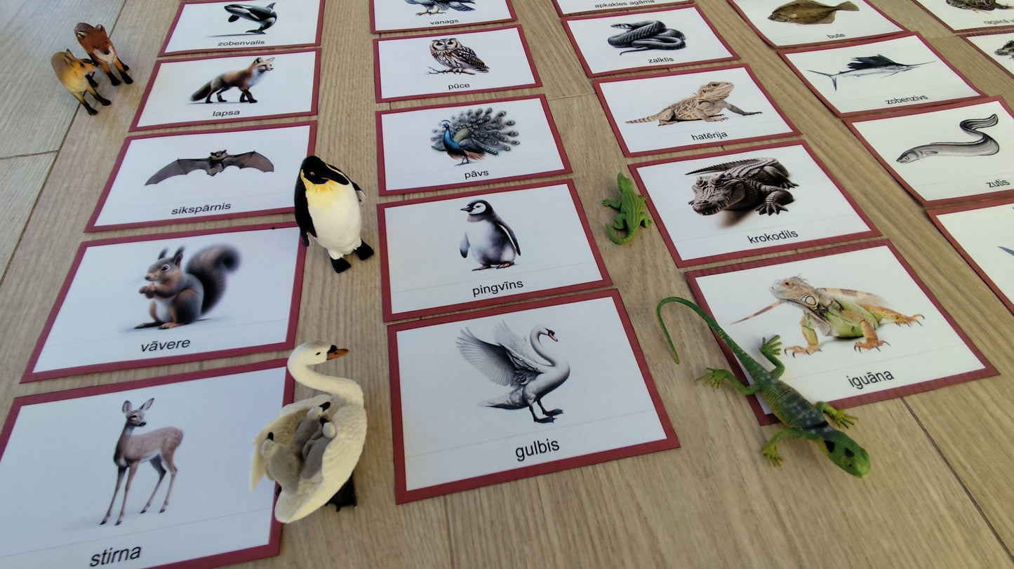 Mugurkaulnieki/Bezmugurkaulnieki kartiņas un kastītes - PDF formātā