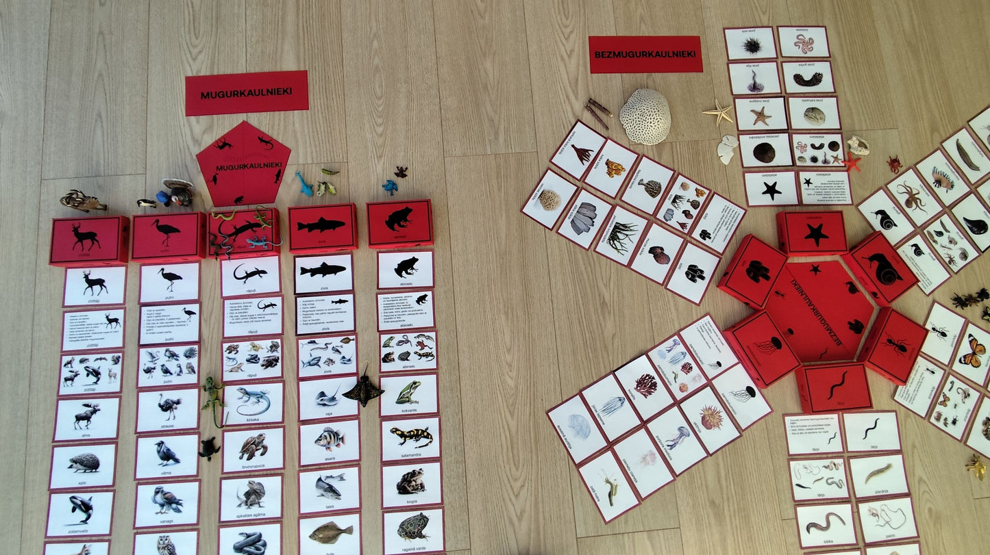 Mugurkaulnieki/Bezmugurkaulnieki kartiņas un kastītes - PDF formātā