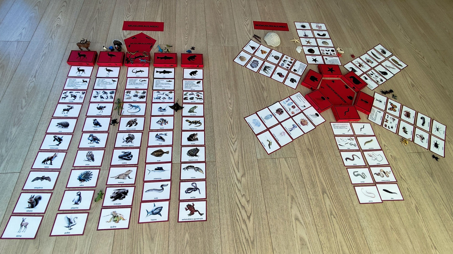 Mugurkaulnieki/Bezmugurkaulnieki kartiņas un kastītes - PDF formātā
