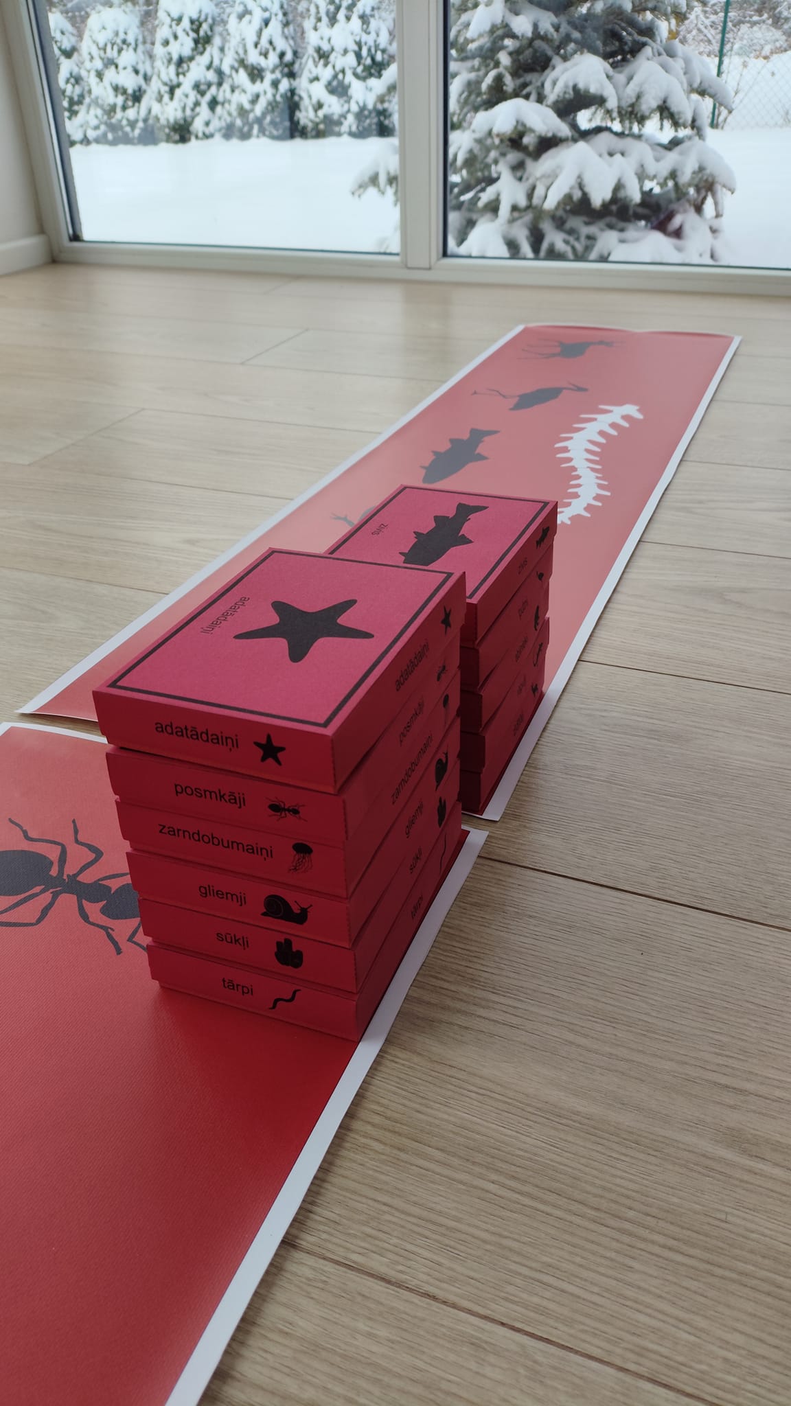 Mugurkaulnieki/Bezmugurkaulnieki kartiņas un kastītes - PDF formātā