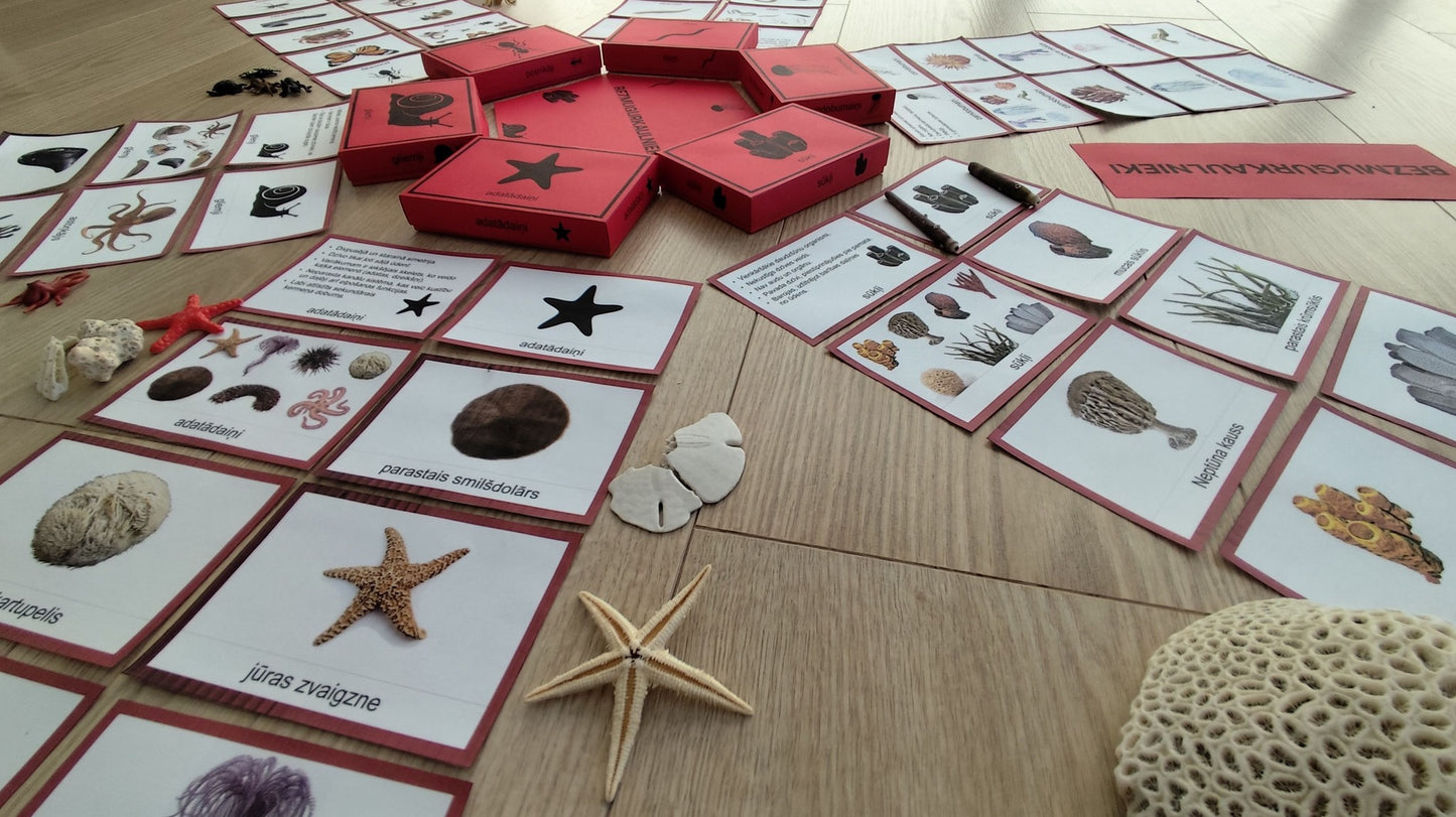 Mugurkaulnieki/Bezmugurkaulnieki kartiņas un kastītes - PDF formātā