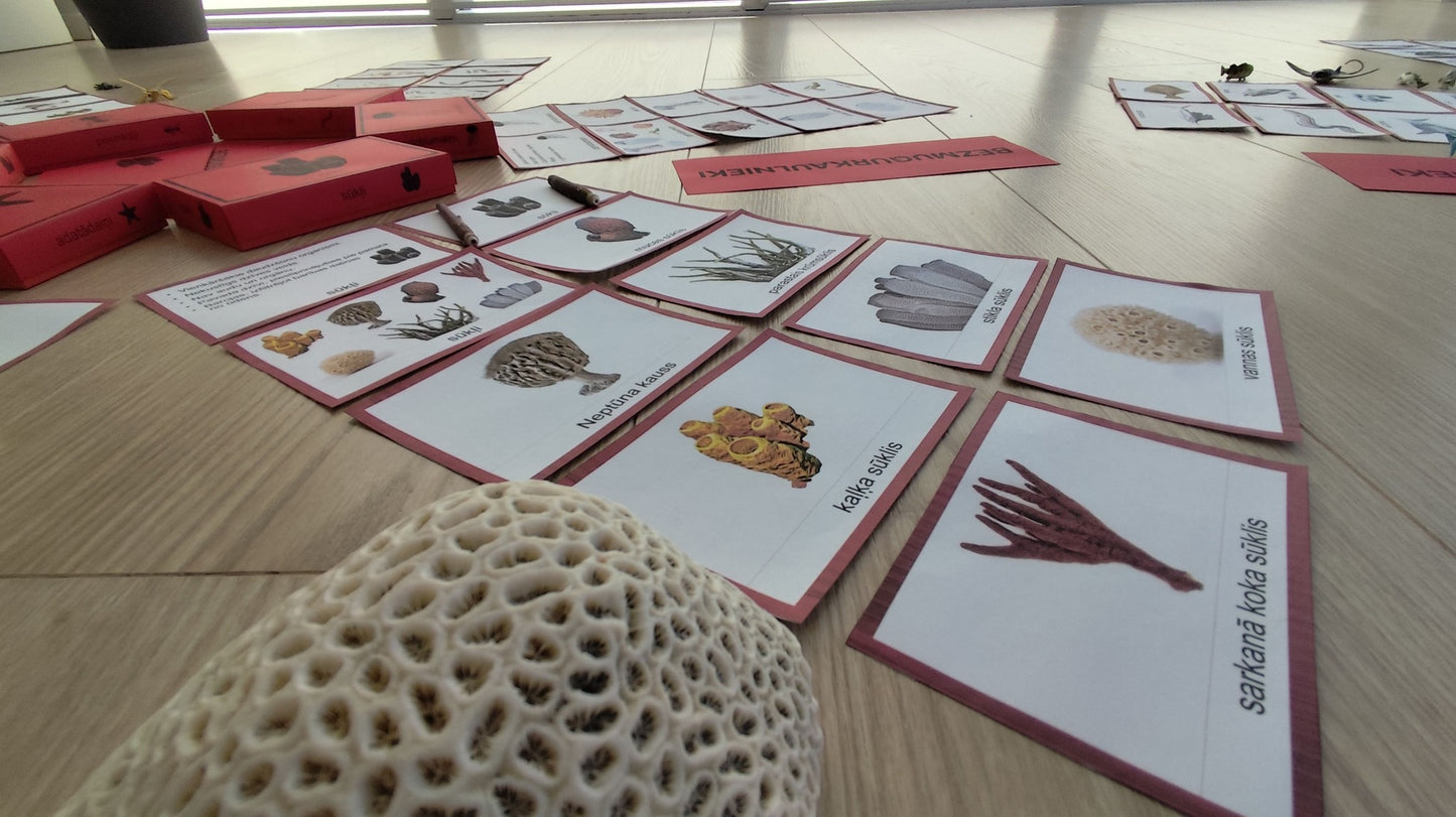 Mugurkaulnieki/Bezmugurkaulnieki kartiņas un kastītes - PDF formātā