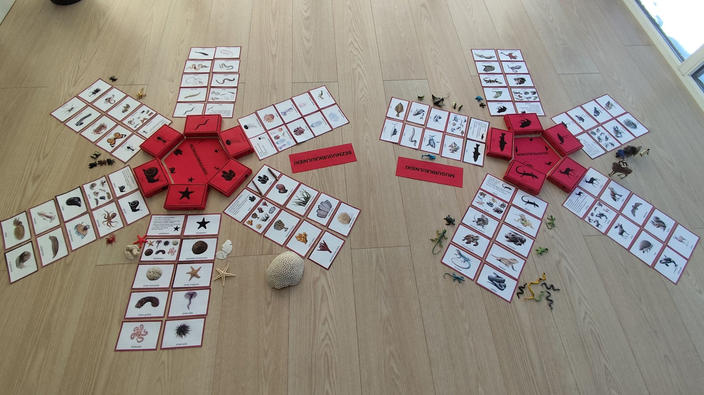 Mugurkaulnieki/Bezmugurkaulnieki kartiņas un kastītes - PDF formātā