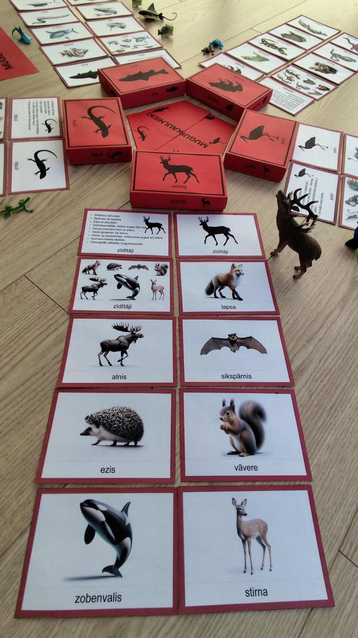 Mugurkaulnieki/Bezmugurkaulnieki kartiņas un kastītes - PDF formātā