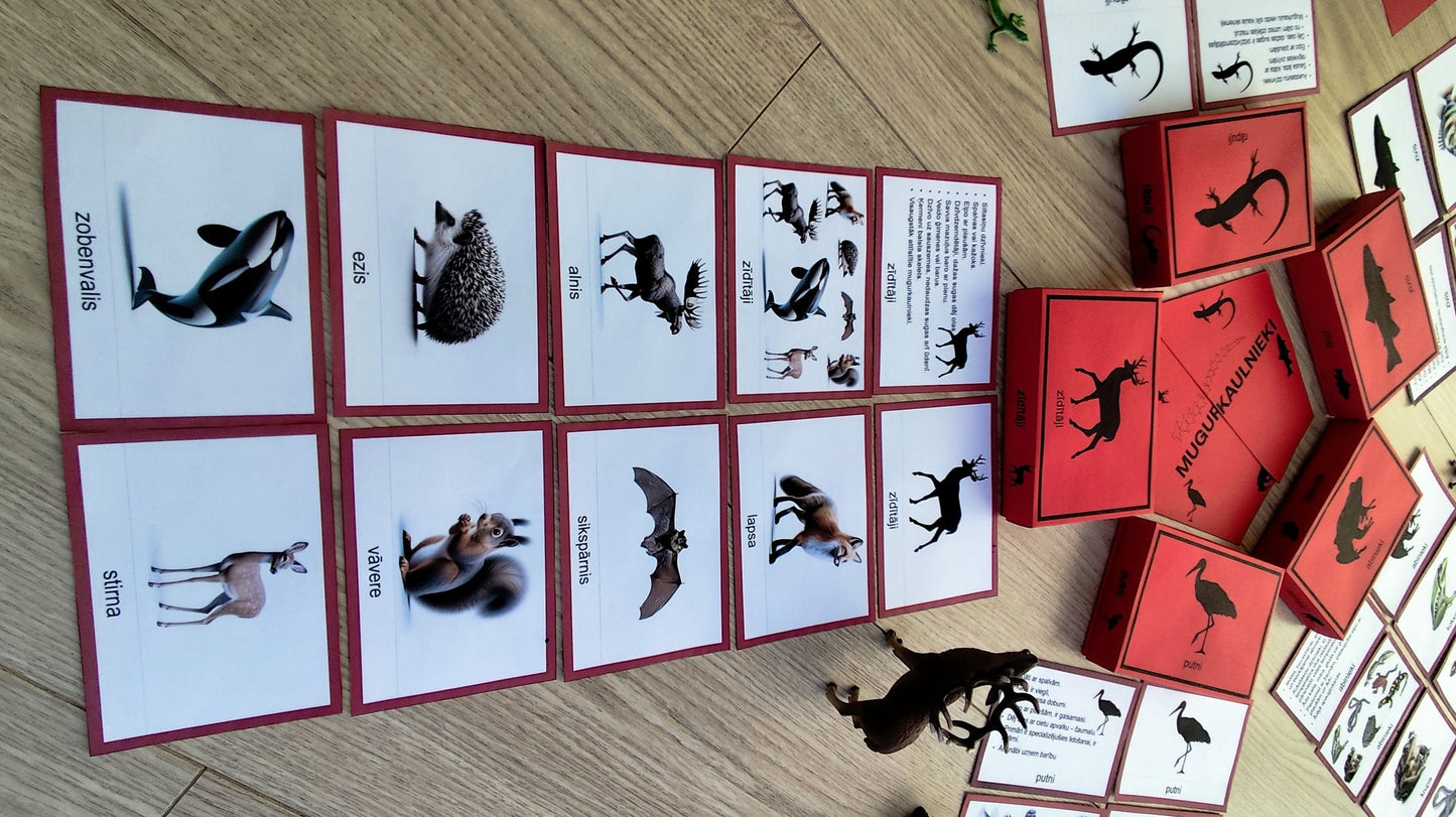 Mugurkaulnieki/Bezmugurkaulnieki kartiņas un kastītes - PDF formātā