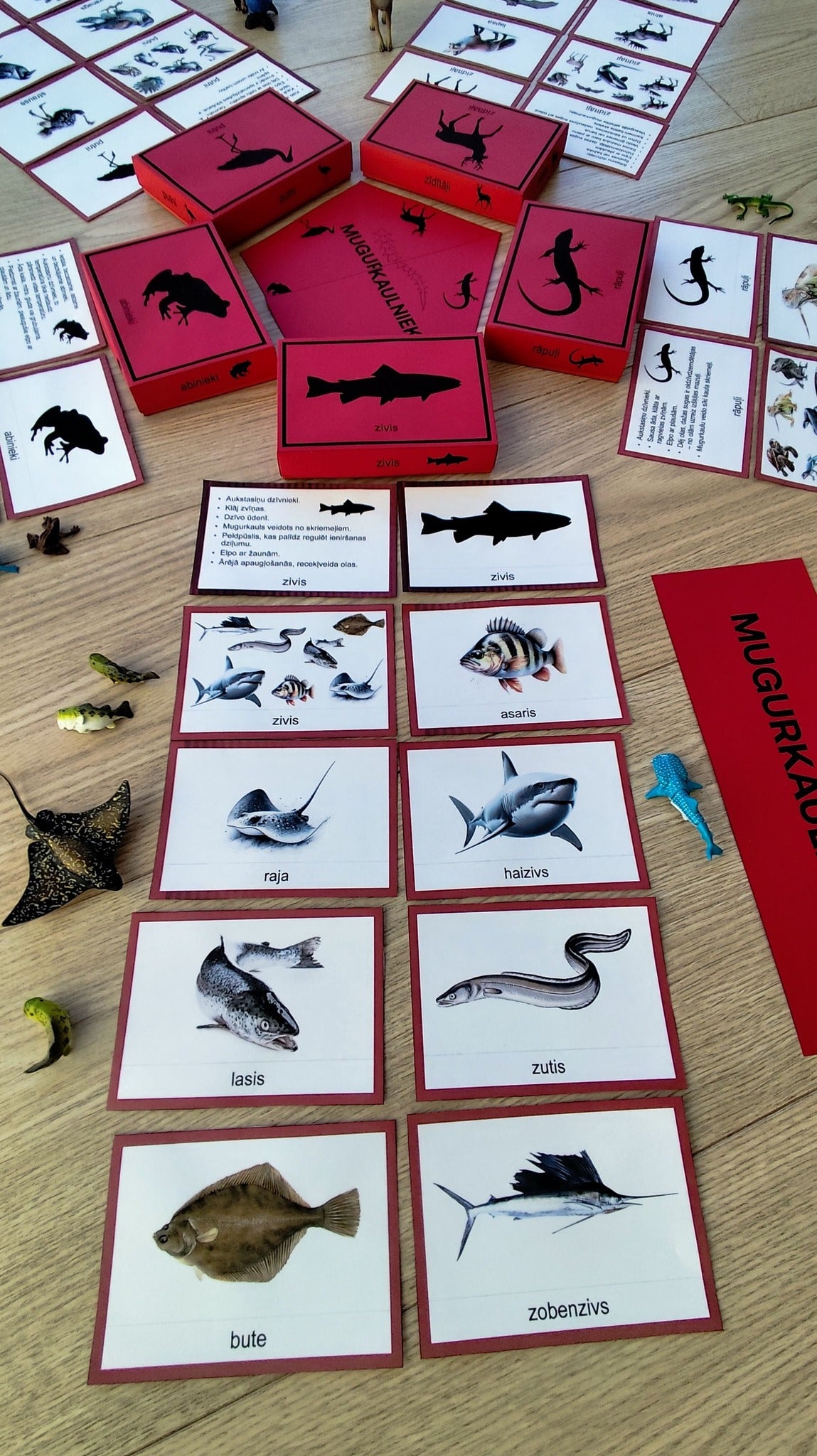 Mugurkaulnieki/Bezmugurkaulnieki kartiņas un kastītes - PDF formātā