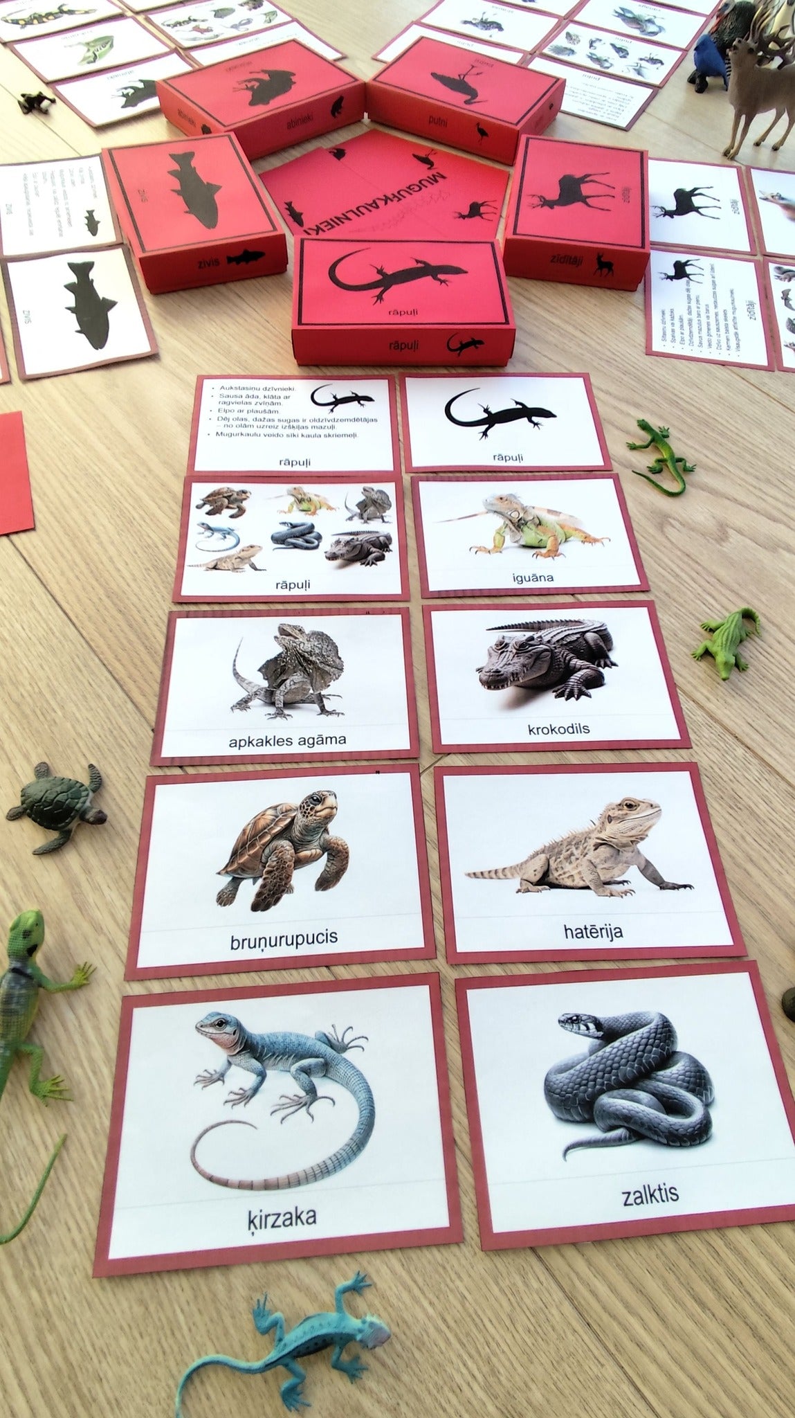 Mugurkaulnieki/Bezmugurkaulnieki kartiņas un kastītes - PDF formātā