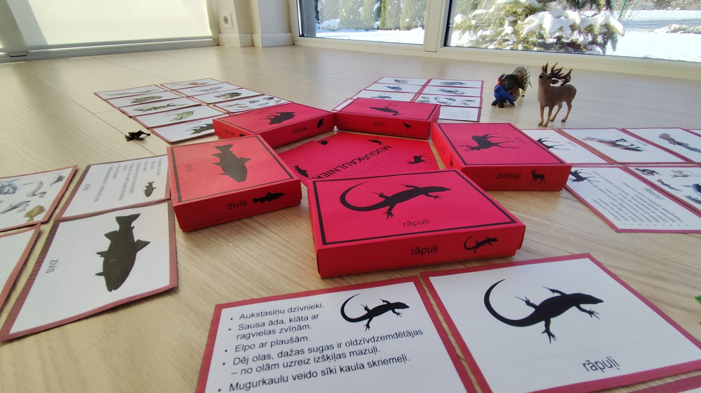 Mugurkaulnieki/Bezmugurkaulnieki kartiņas un kastītes - PDF formātā