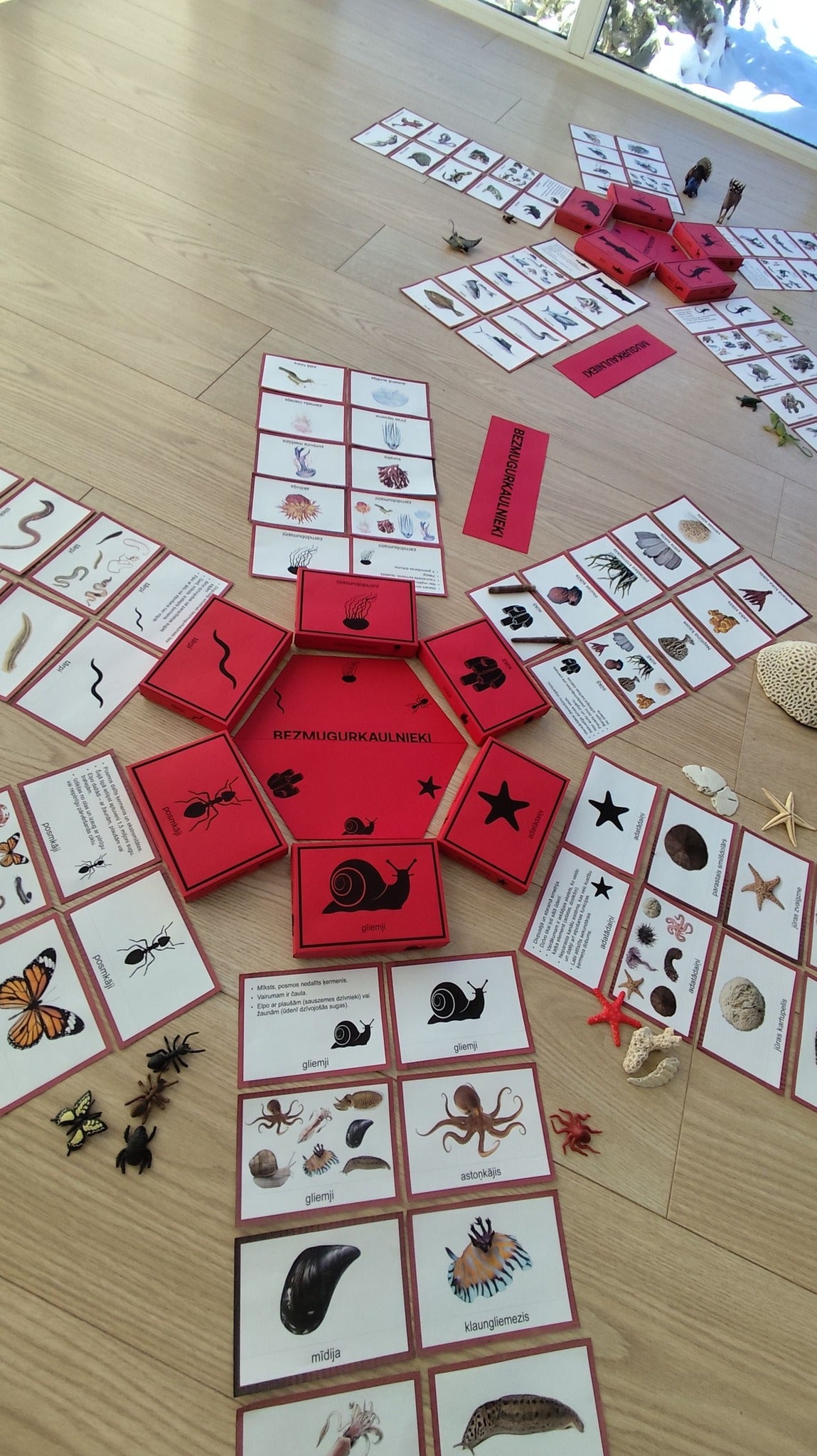 Mugurkaulnieki/Bezmugurkaulnieki kartiņas un kastītes - PDF formātā