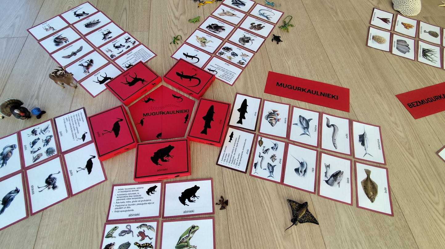 Mugurkaulnieki/Bezmugurkaulnieki kartiņas un kastītes - PDF formātā