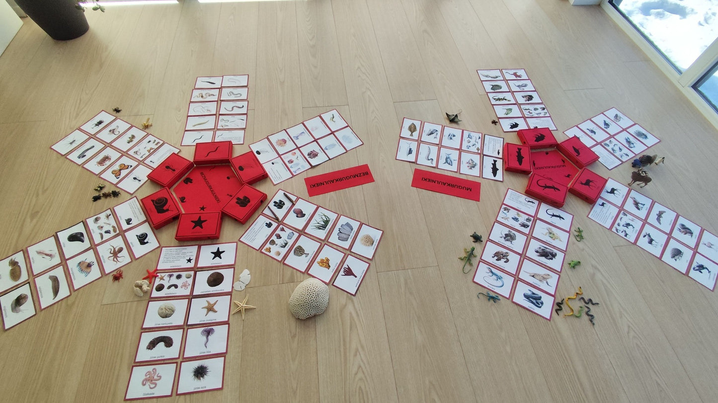 Mugurkaulnieki/Bezmugurkaulnieki kartiņas un kastītes - PDF formātā