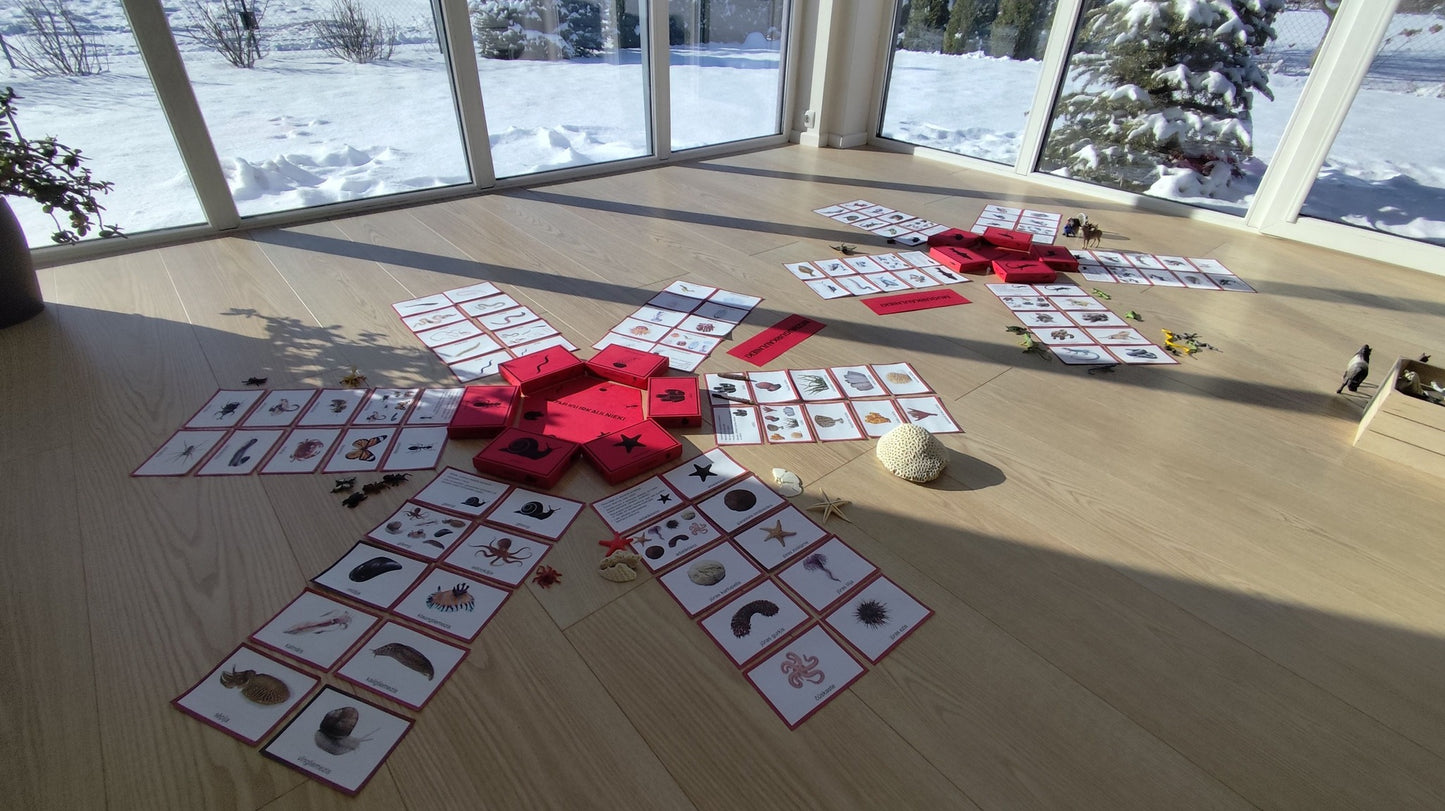 Mugurkaulnieki/Bezmugurkaulnieki kartiņas un kastītes - PDF formātā