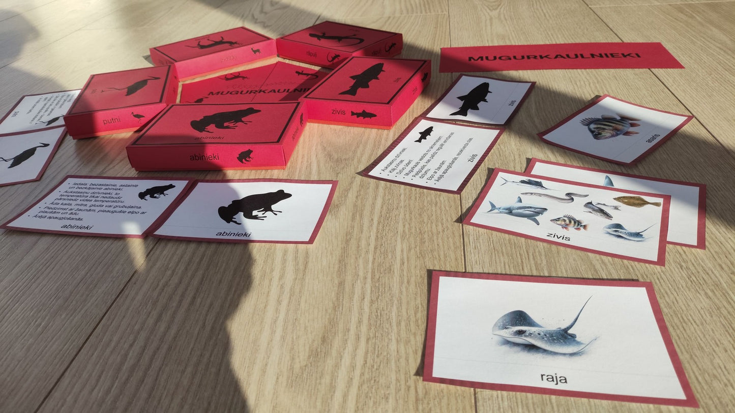 Mugurkaulnieki/Bezmugurkaulnieki kartiņas un kastītes - PDF formātā