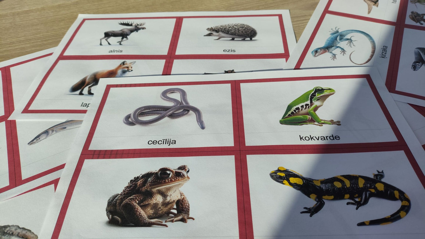 Mugurkaulnieki/Bezmugurkaulnieki kartiņas un kastītes - PDF formātā