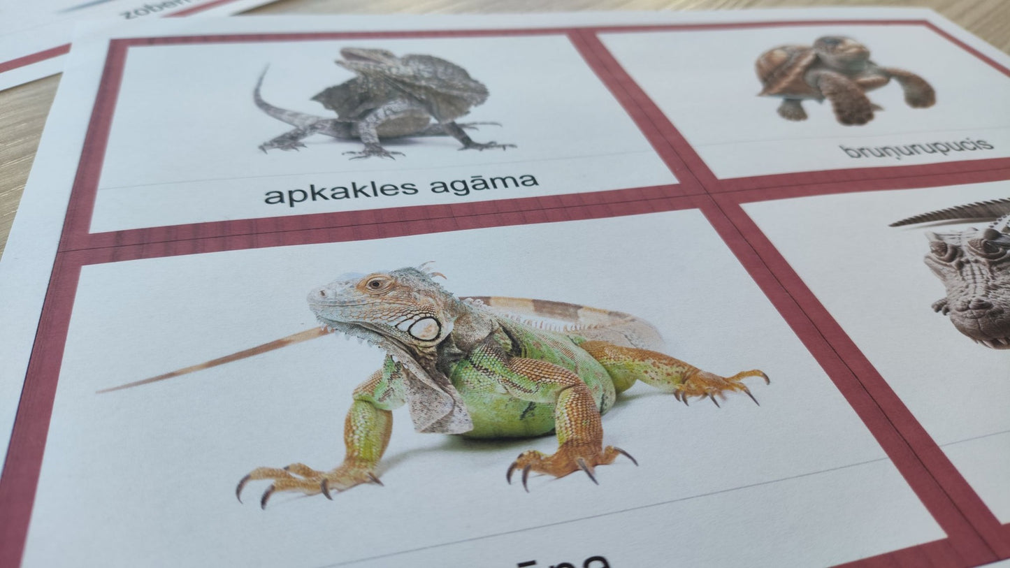 Mugurkaulnieki/Bezmugurkaulnieki kartiņas un kastītes - PDF formātā