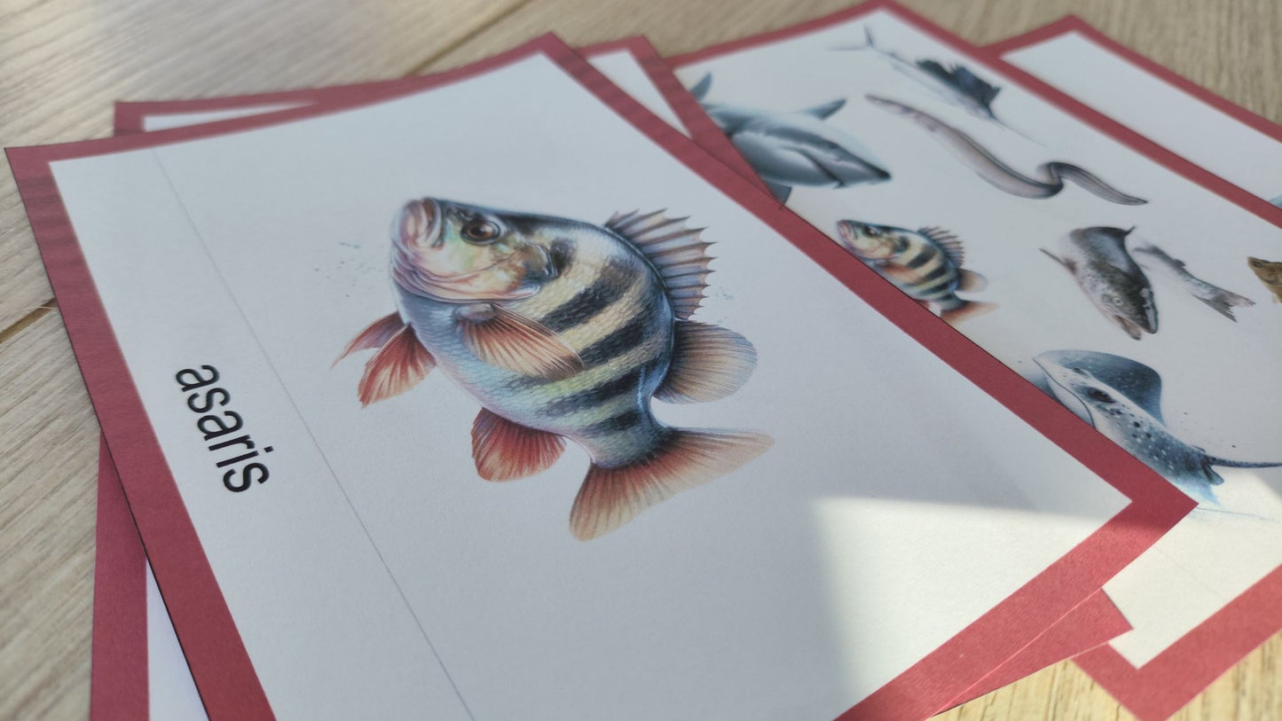 Mugurkaulnieki/Bezmugurkaulnieki kartiņas un kastītes - PDF formātā