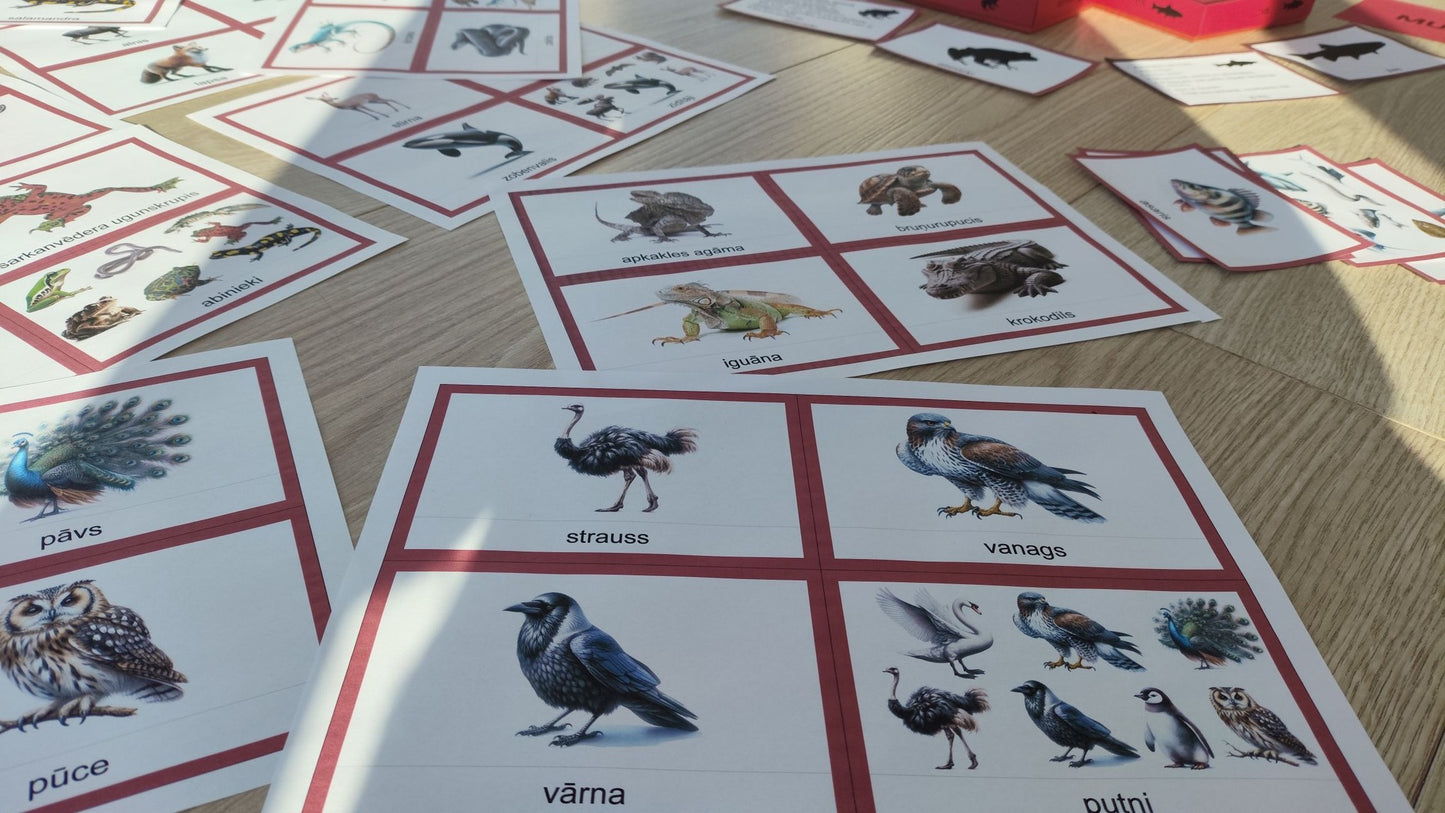 Mugurkaulnieki/Bezmugurkaulnieki kartiņas un kastītes - PDF formātā