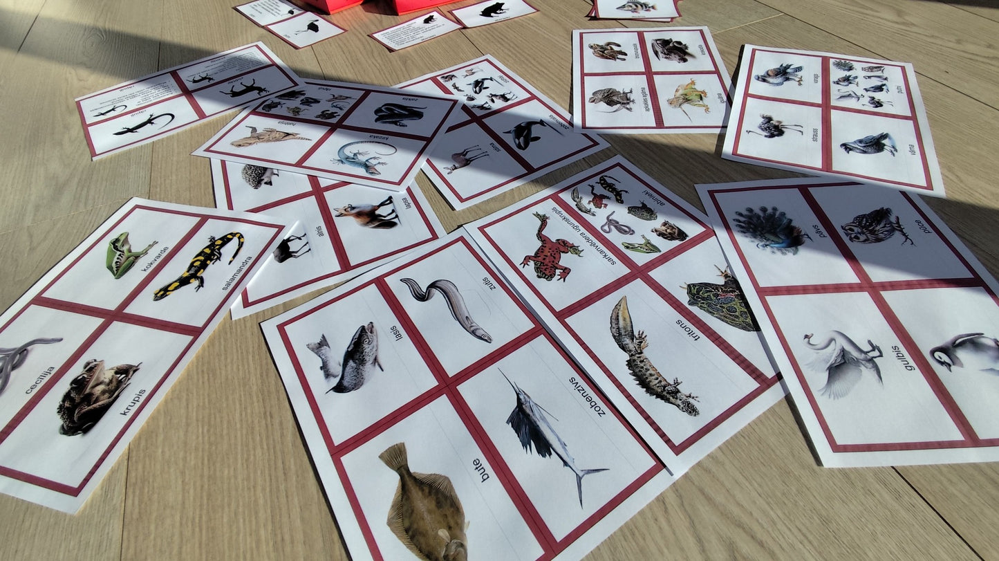 Mugurkaulnieki/Bezmugurkaulnieki kartiņas un kastītes - PDF formātā