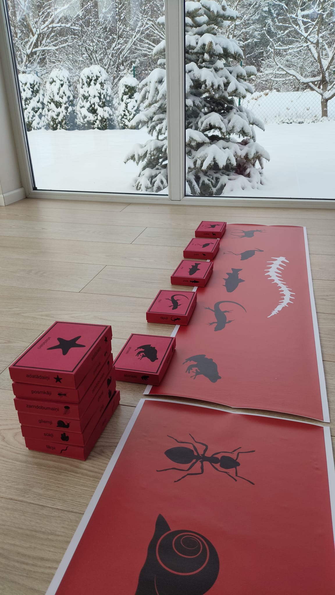 Mugurkaulnieki/Bezmugurkaulnieki kartiņas un kastītes - PDF formātā