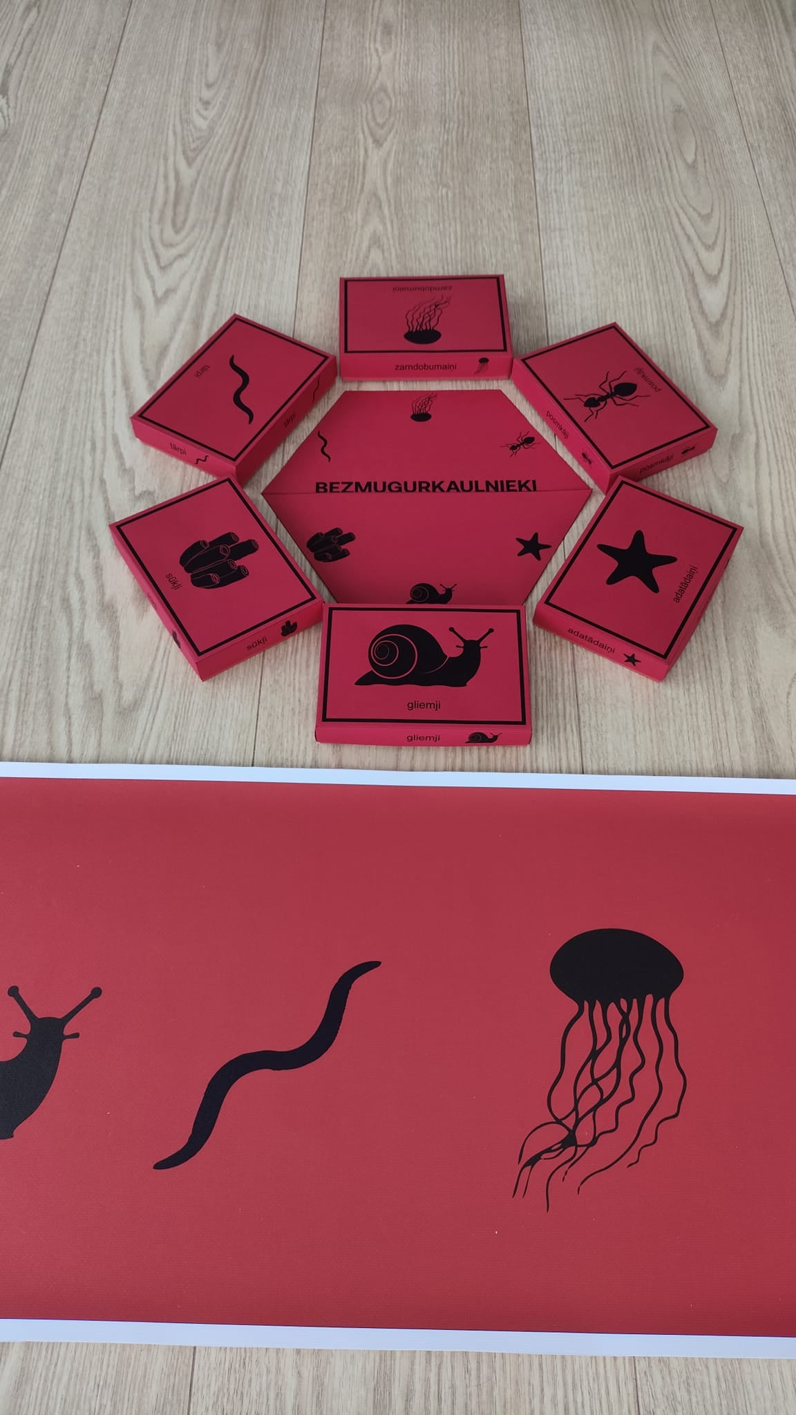 Mugurkaulnieki/Bezmugurkaulnieki kartiņas un kastītes - PDF formātā